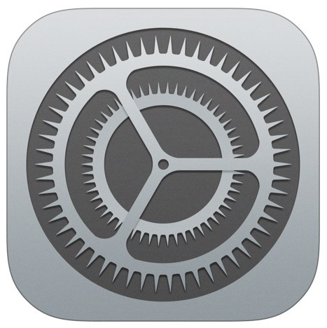 iOS Settings Icon