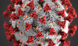 covid-19-virus Image